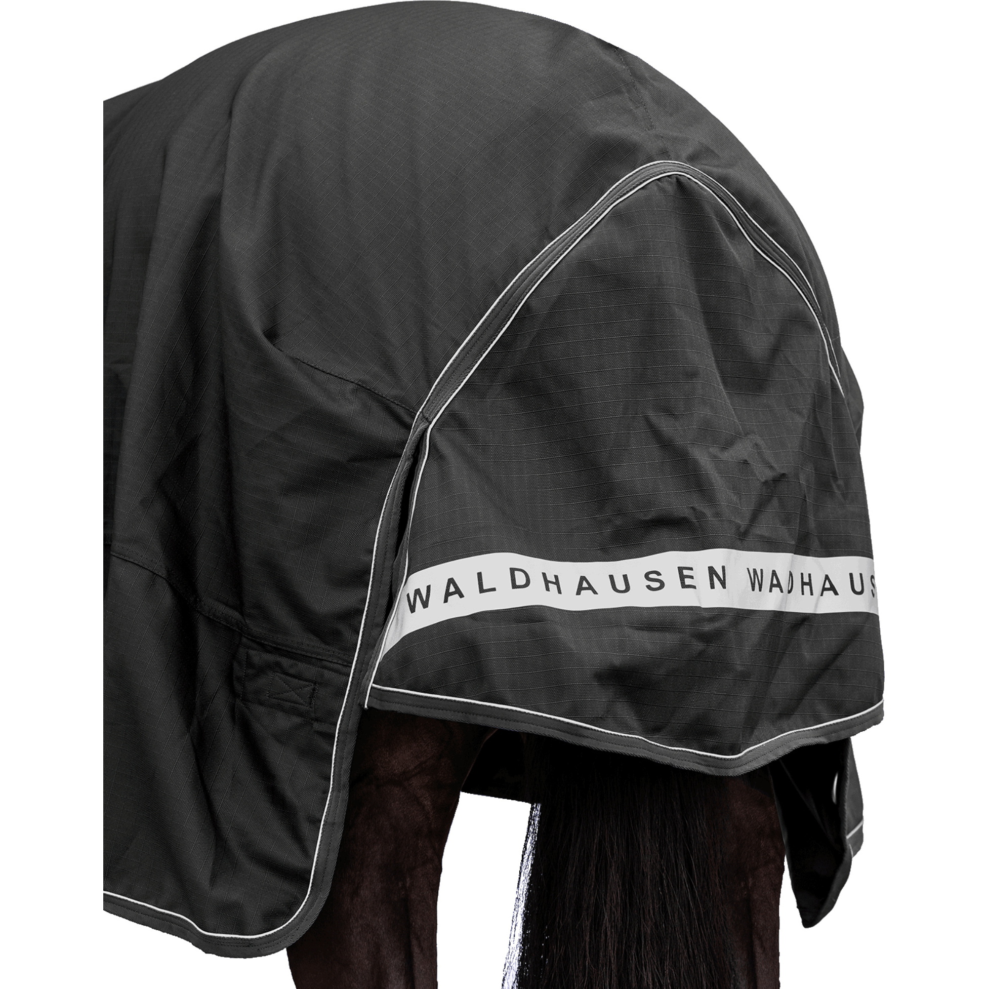 2026 Waldhausen Outdoor Teppich Scandic - Light 8021701 - Black